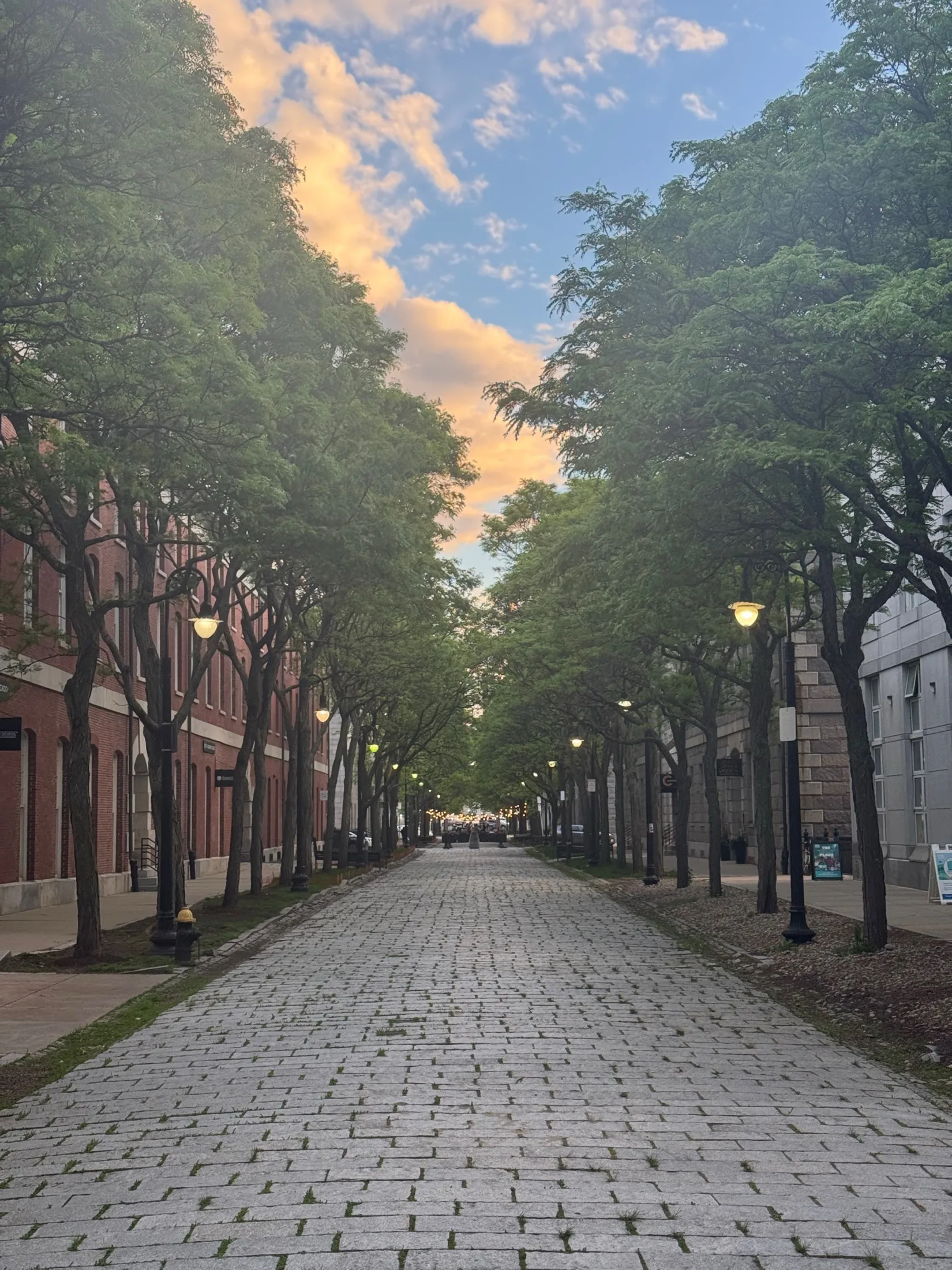 A tree-lined cobblestone street in the Charlestown Navy Yard